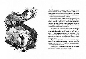 Die Lerche, der Rabe, der Hecht, der Dachs - Serie Brüder. Set aus 4 Büchern