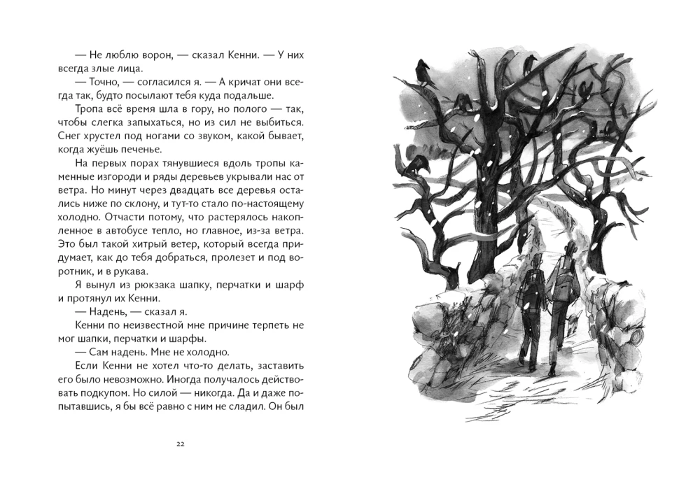 Die Lerche, der Rabe, der Hecht, der Dachs - Serie Brüder. Set aus 4 Büchern