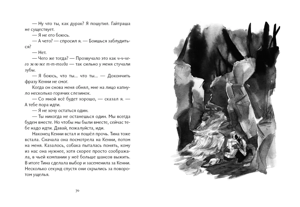 Die Lerche, der Rabe, der Hecht, der Dachs - Serie Brüder. Set aus 4 Büchern