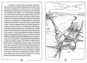 Wyspa zielonych papug