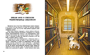 Meow! From Petersburg