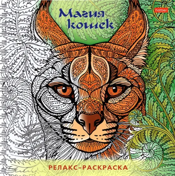 Relaxation Coloring Book Magic of Cats