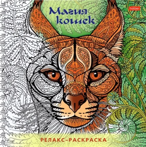 Relaxation Coloring Book Magic of Cats