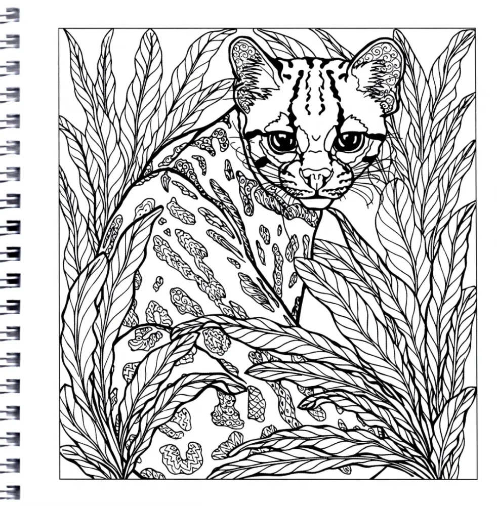 Relaxation Coloring Book Magic of Cats