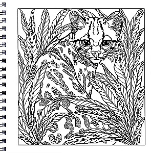 Relaxation Coloring Book Magic of Cats