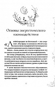 The Desk Reference of the Forest Witch