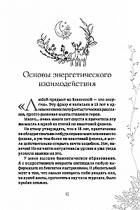 The Desk Reference of the Forest Witch