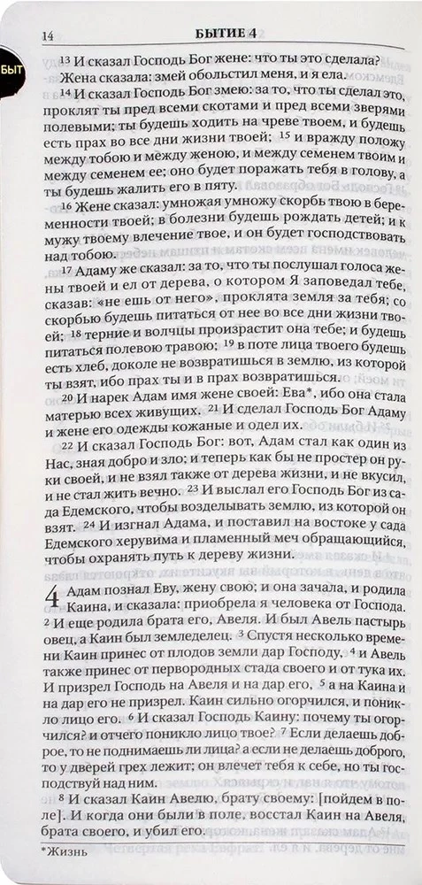 Bible