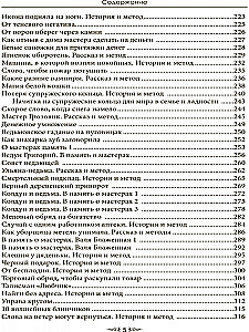 Особый случай. Эпилог. Книга 4