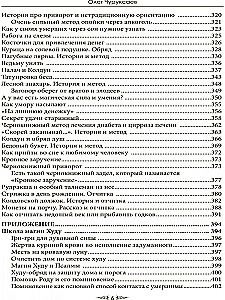 Особый случай. Эпилог. Книга 4
