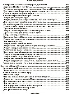 Особый случай. Эпилог. Книга 4