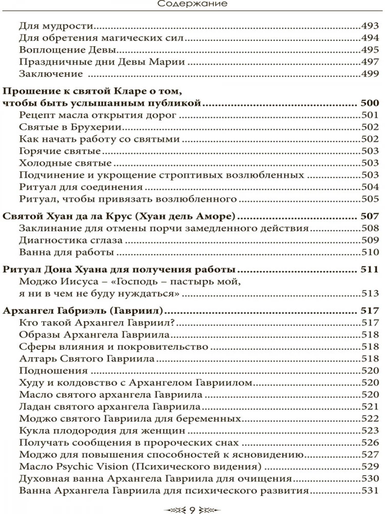 Особый случай. Эпилог. Книга 4