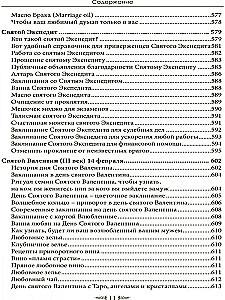 Особый случай. Эпилог. Книга 4