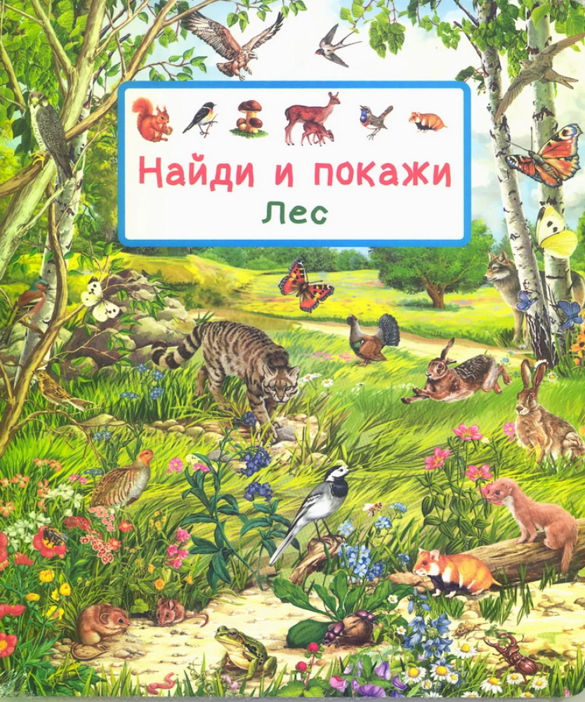 Znajdź i pokaż. Las