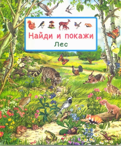 Find and Show. Forest