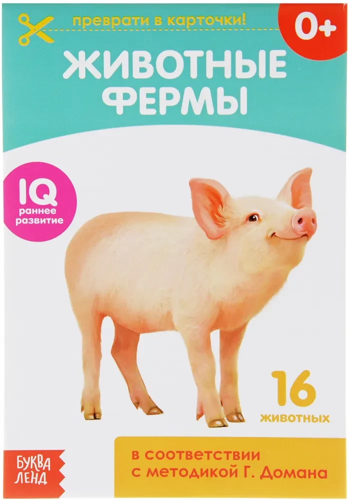 Karty Domana na spinaczach