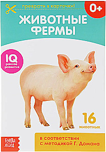 Karty Domana na spinaczach