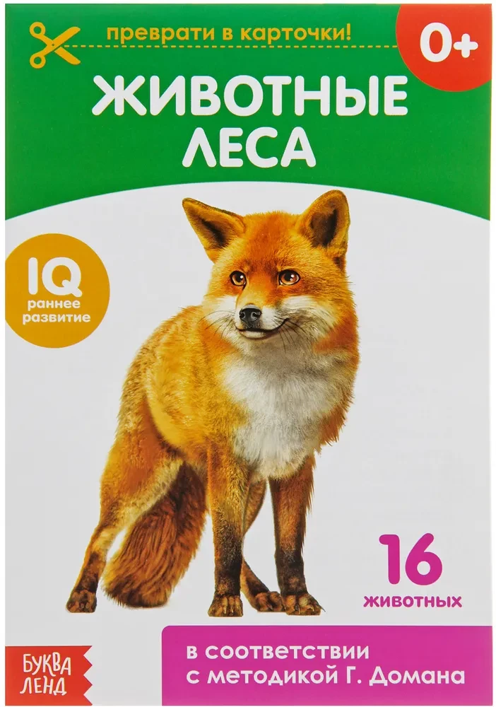 Karty Domana na spinaczach