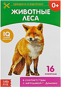 Karty Domana na spinaczach