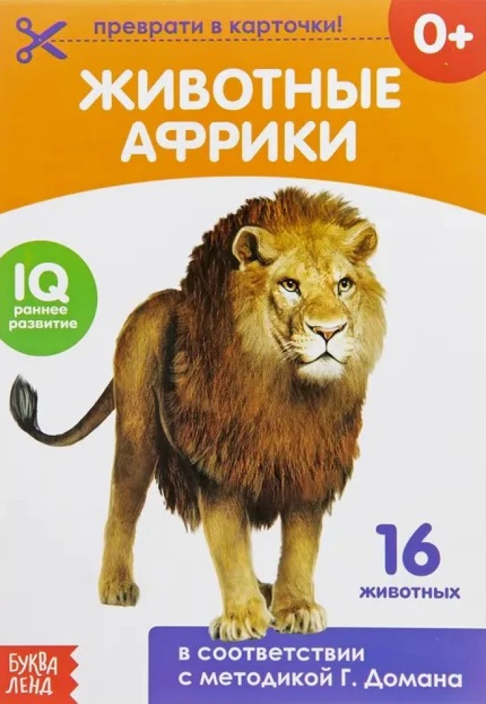 Karty Domana na spinaczach