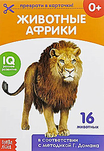 Karty Domana na spinaczach