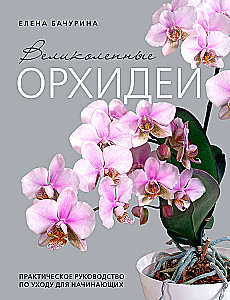 Wspaniałe orchidee. Praktyczny przewodnik po pielęgnacji dla początkujących
