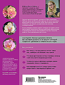 Wspaniałe orchidee. Praktyczny przewodnik po pielęgnacji dla początkujących