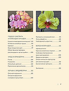 Wspaniałe orchidee. Praktyczny przewodnik po pielęgnacji dla początkujących