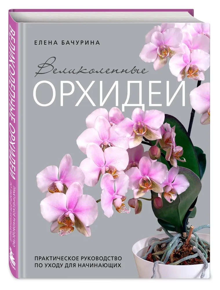 Wspaniałe orchidee. Praktyczny przewodnik po pielęgnacji dla początkujących