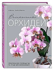 Wspaniałe orchidee. Praktyczny przewodnik po pielęgnacji dla początkujących