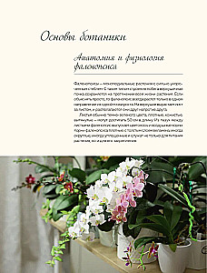 Wspaniałe orchidee. Praktyczny przewodnik po pielęgnacji dla początkujących