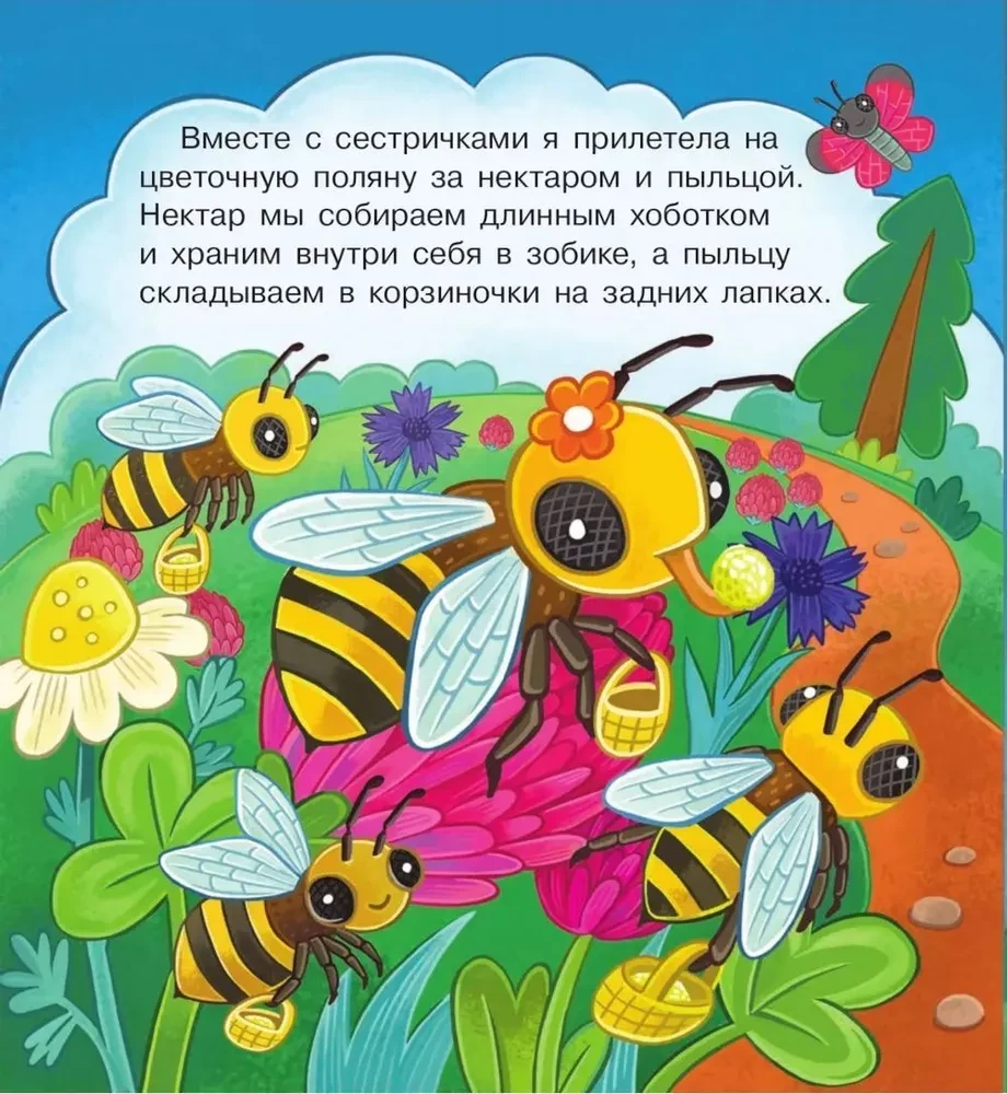Visiting Bumblebee Zuzha