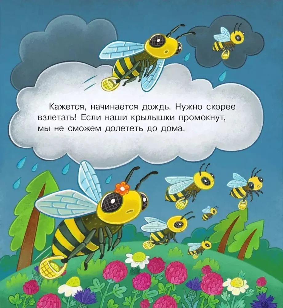 Visiting Bumblebee Zuzha