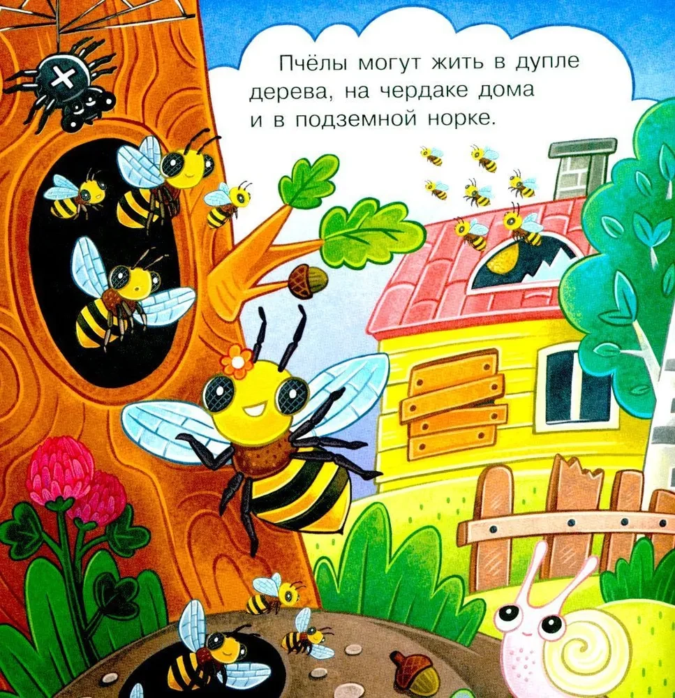 Visiting Bumblebee Zuzha