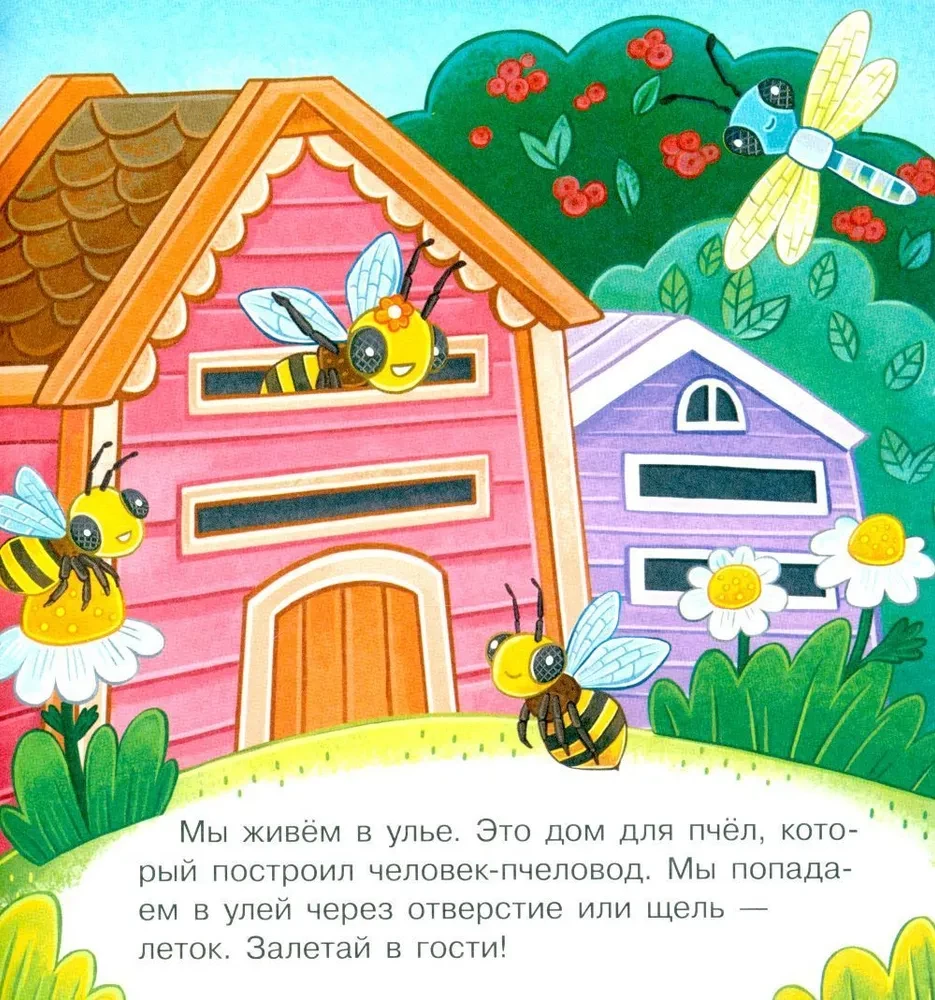 Visiting Bumblebee Zuzha