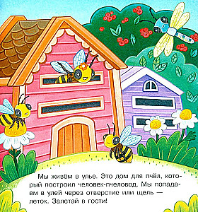 Visiting Bumblebee Zuzha