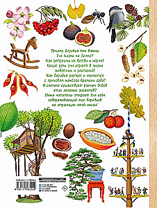 Encyklopedia drzew świata