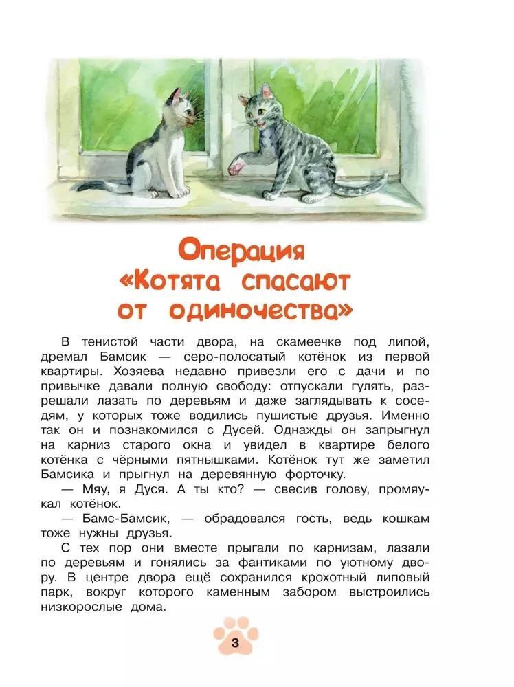 Agentas Nulis-nulis-katė (Binomas)