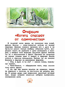 Agentas Nulis-nulis-katė (Binomas)