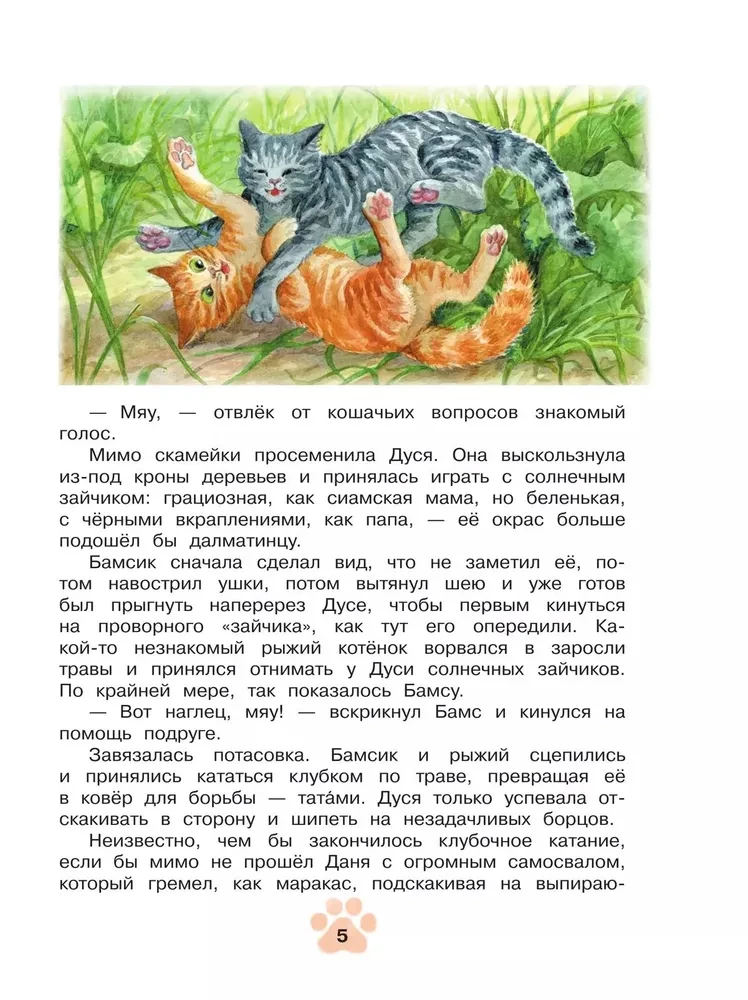 Agentas Nulis-nulis-katė (Binomas)