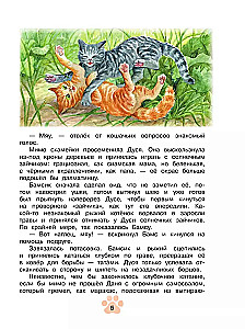 Agentas Nulis-nulis-katė (Binomas)