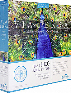 Puzzle - Via Terra. Colorful Peacock