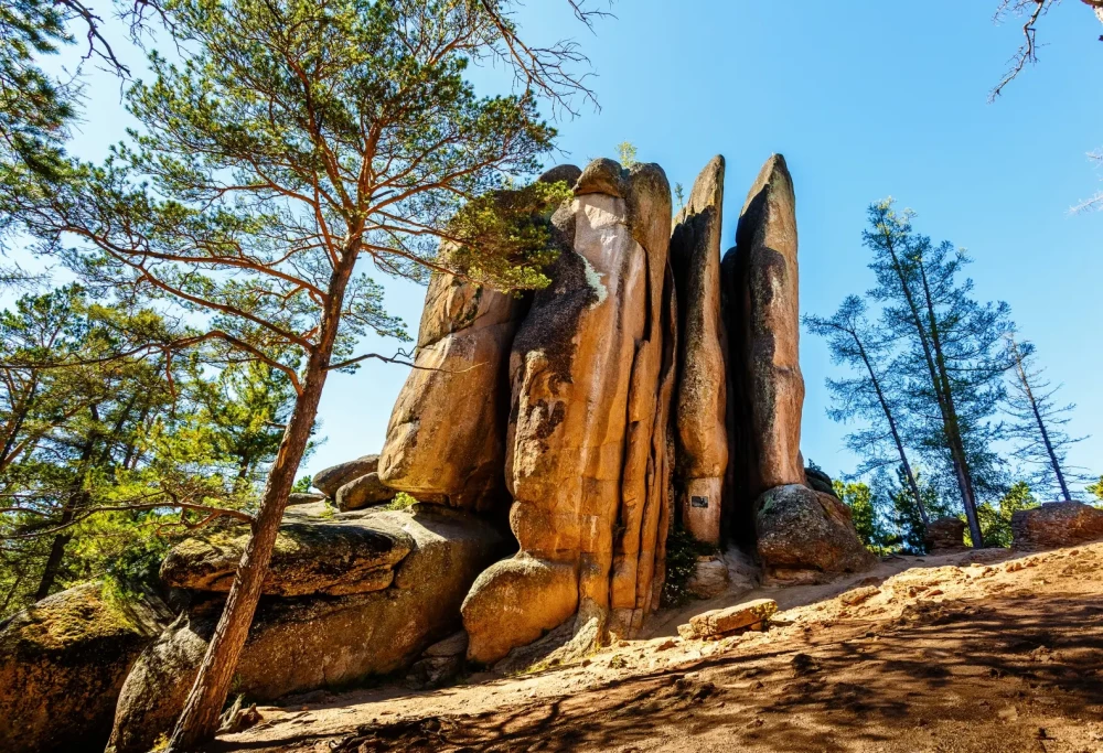 Puzzle - Via Terra. Feather Rock