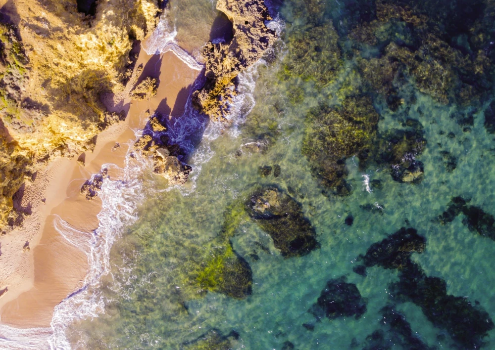 Puzzle - Via Terra. Bondi Beach