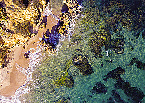 Puzzle - Via Terra. Bondi Beach