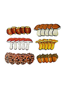 Counting Material in a Bag - Forest Gifts