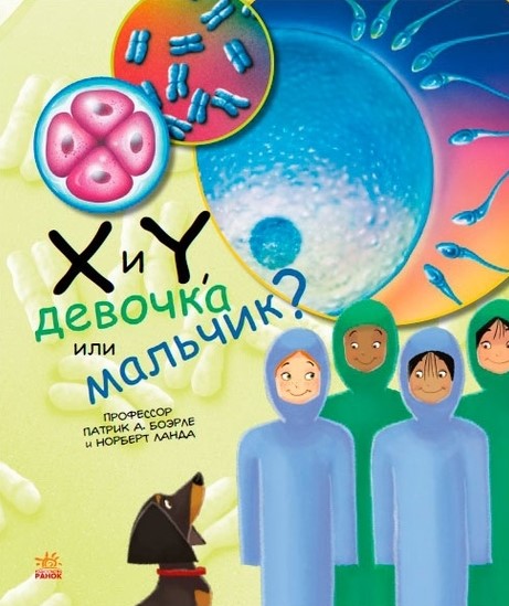 X ir Y, mergaitė ar berniukas?