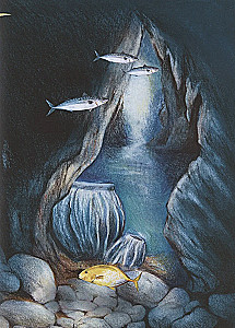 Wonder of Nature. The Story of the Sea Sponge