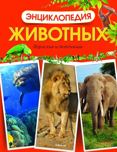Encyclopedia of Animals. Adults and Offspring