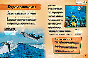 Encyclopedia of Animals. Adults and Offspring
